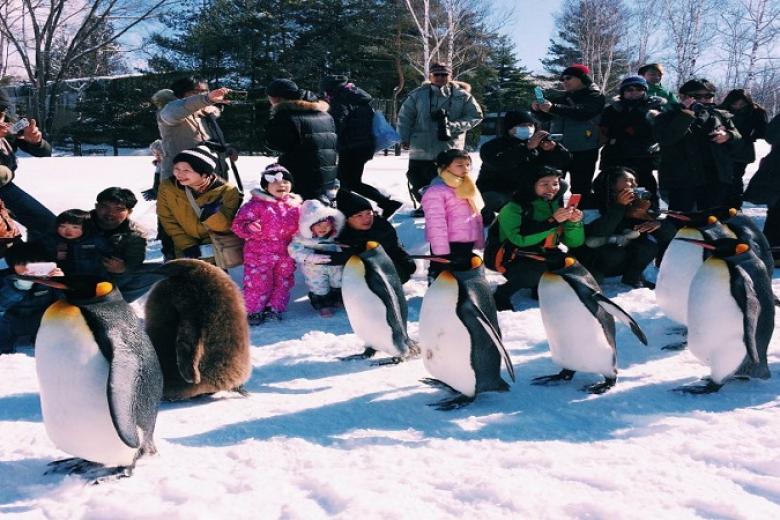 Asahiyama zoo