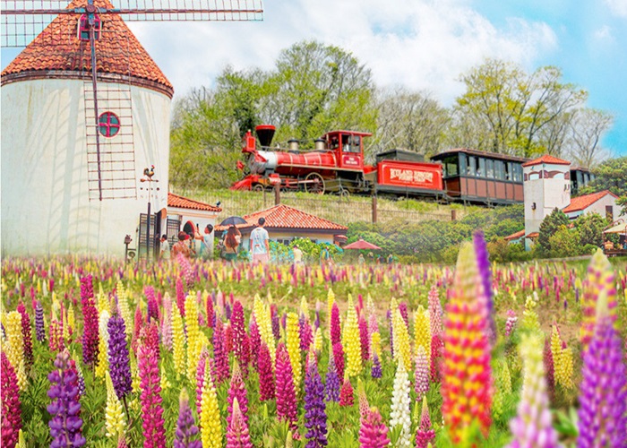 Eco Land