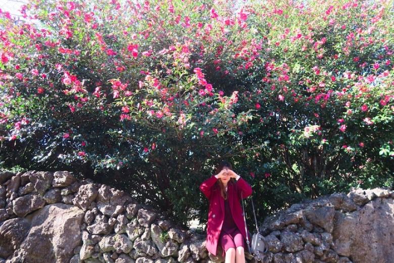 Camellia Hill