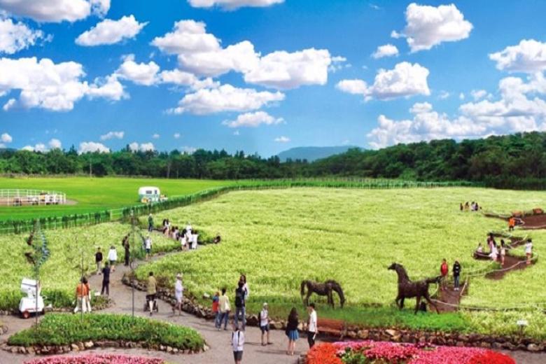 Eco Land