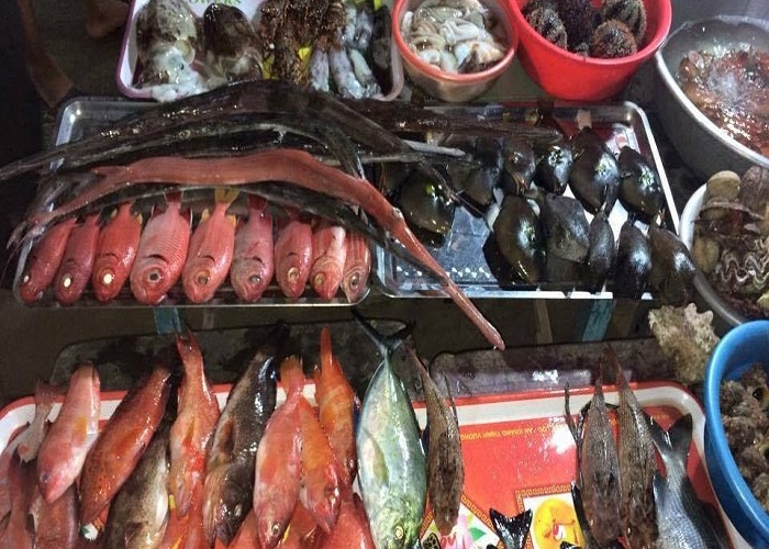 Vui chơi, tham quan