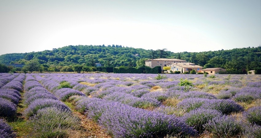 Vui chơi, tham quan