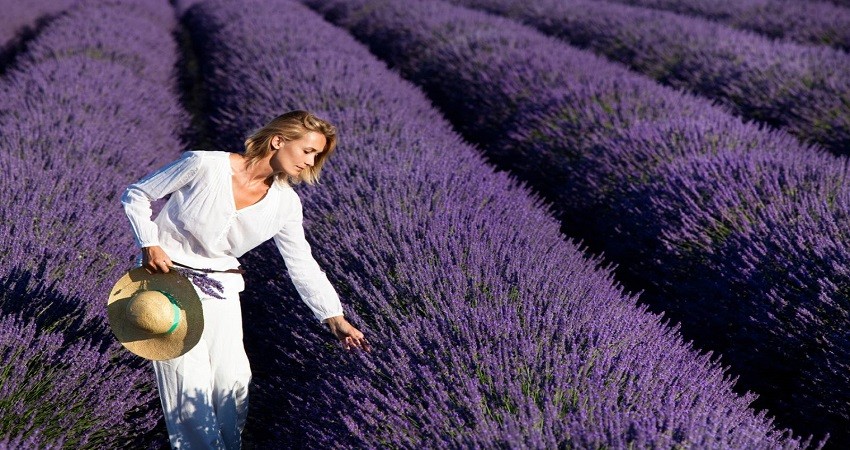 Khách trải nghiệm