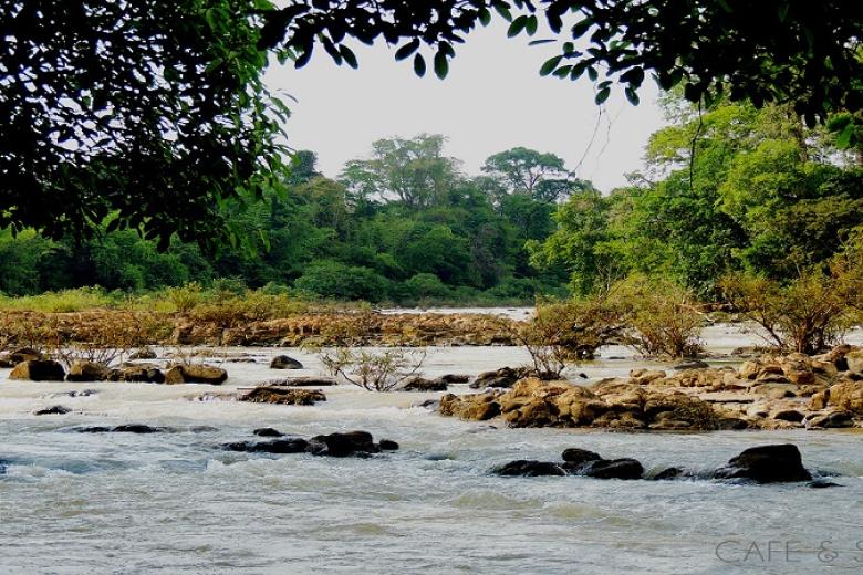 Ghềnh Bến Cự