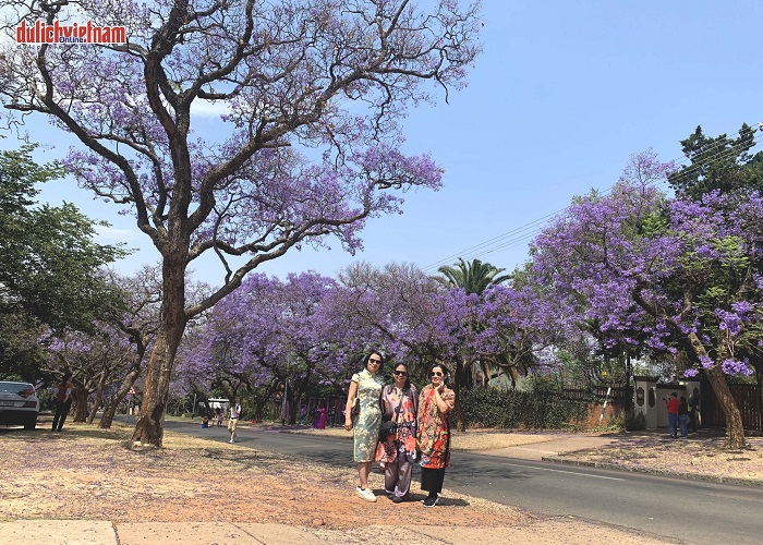 Vui chơi, tham quan