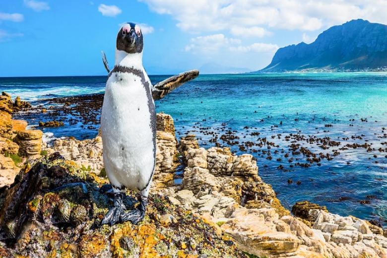 Boulders Beach