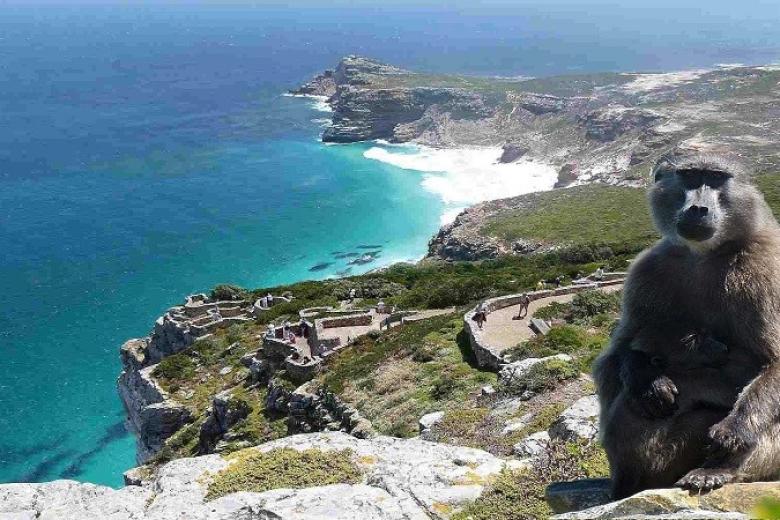 Cape Point