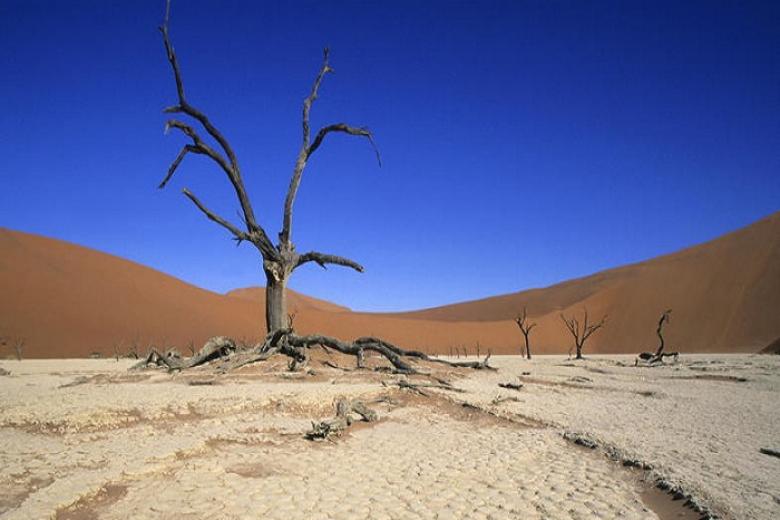 Công viên Namib Naukluft