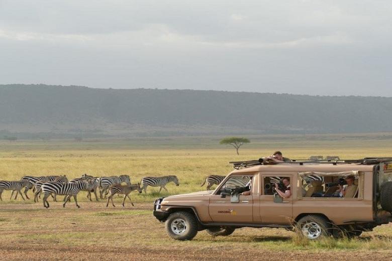 Safari game