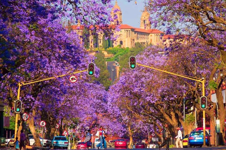 Thành phố thủ đô Pretoria