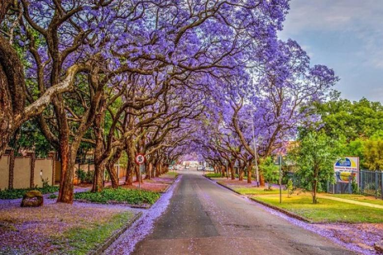 Thành phố thủ đô Pretoria