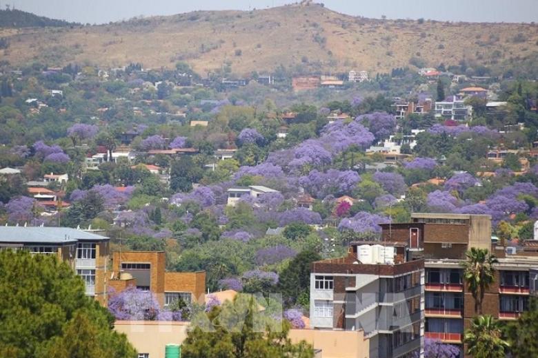 Thành phố thủ đô Pretoria