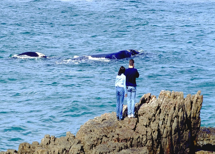 Vui chơi, tham quan