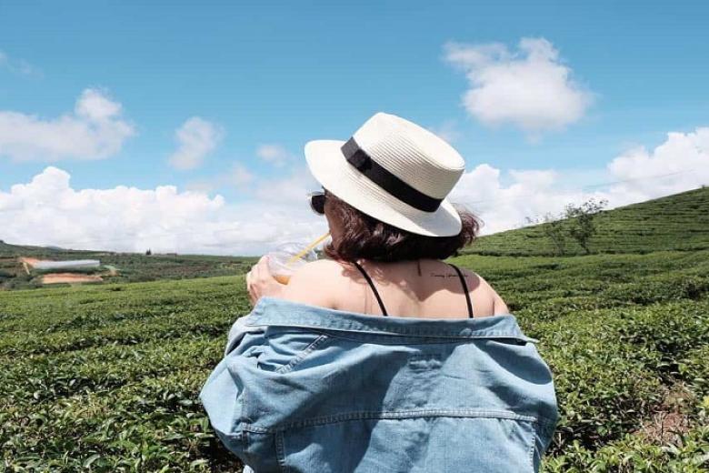 Đồi chè Cầu Đất