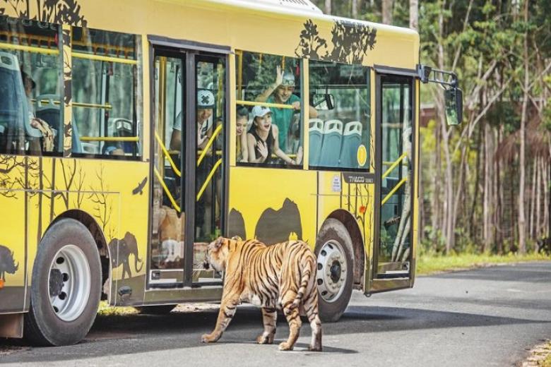 Vườn Thú Mở - Vinpearl Safari