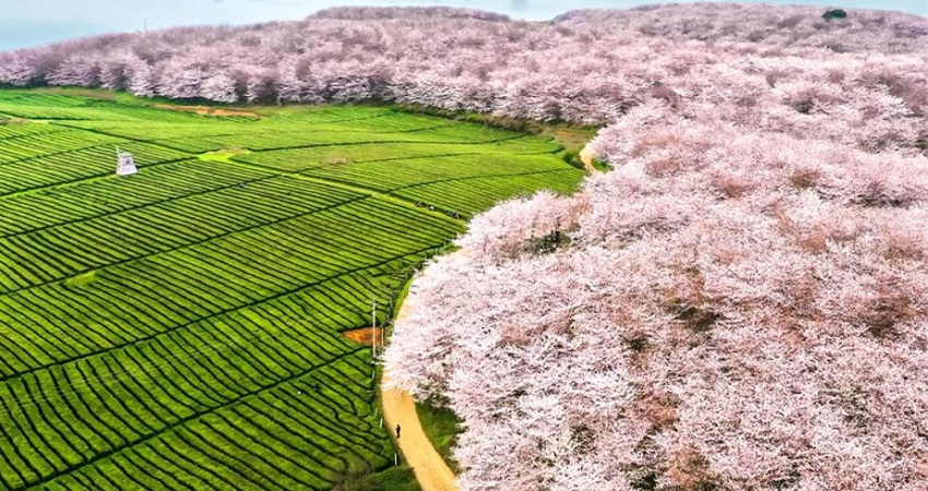Khách trải nghiệm