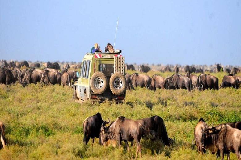 Khu bảo tồn Masai Mara
