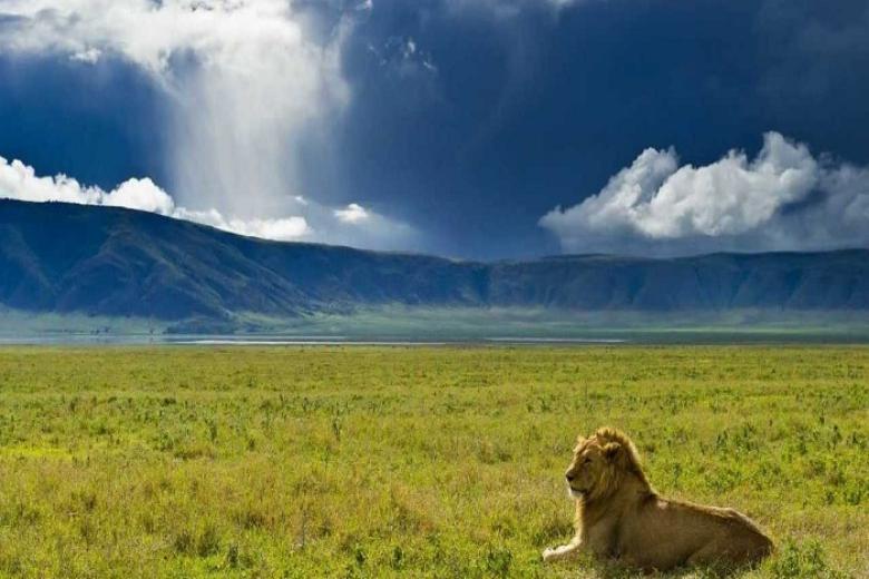 Khu bảo tồn Ngorongoro