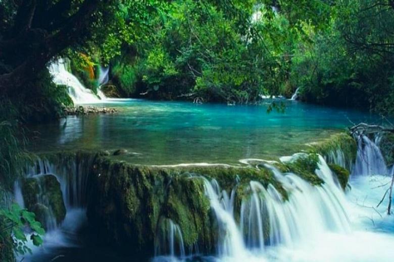 Ngũ Hồ