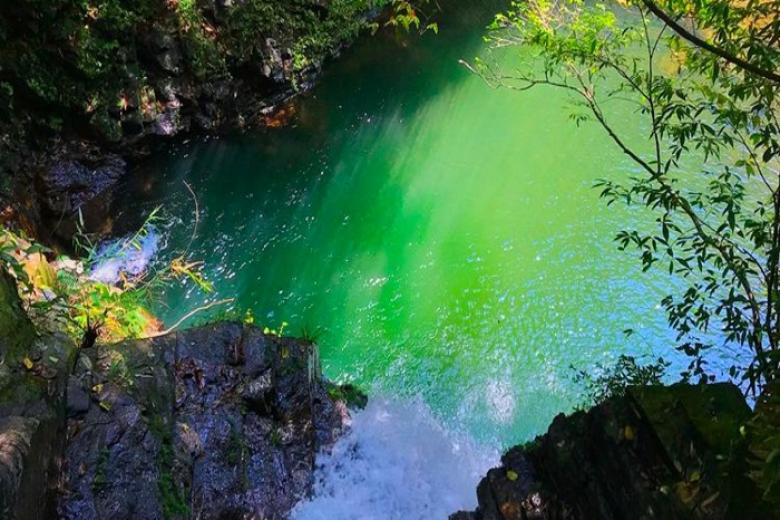 Ngũ Hồ