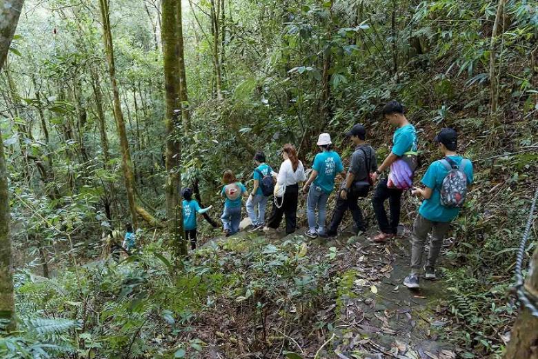Trekking Bạch Mã