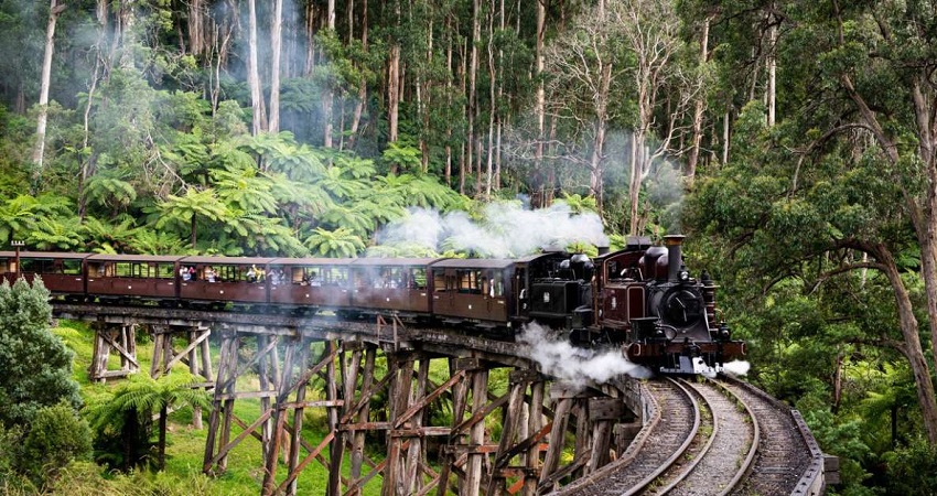 Trải nghiệm tàu lửa hơi nước Puffing Billy