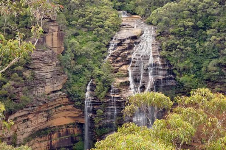 Khu bảo tồn thiên nhiên Blue Mountain