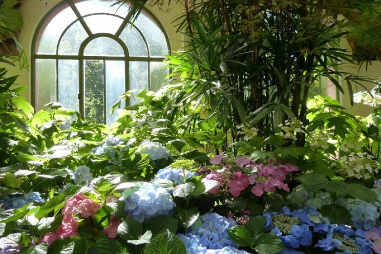 Vườn thực vật Fitzroy