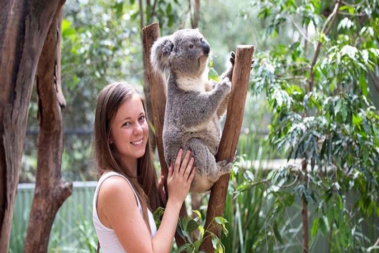 Wildlife Park (Vườn thú hoang dã)