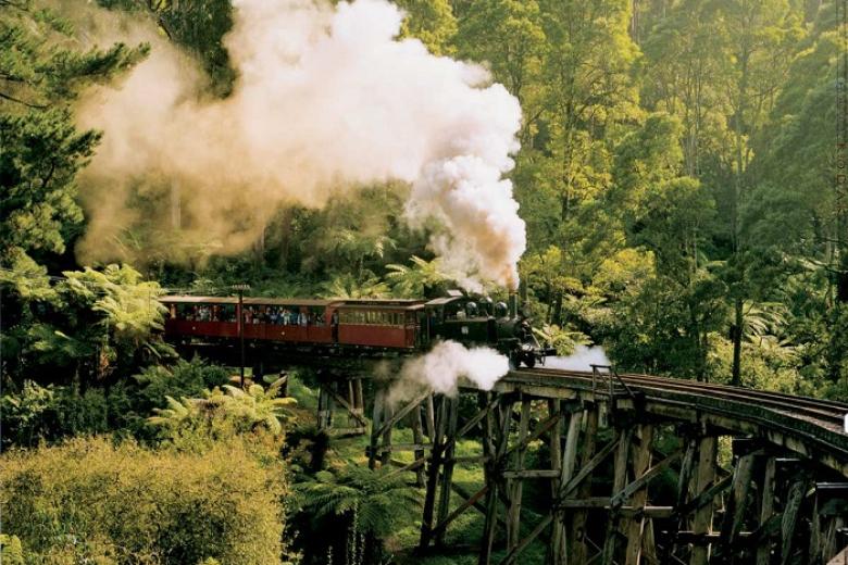 Xe lửa hơi nước: Puffing Billy