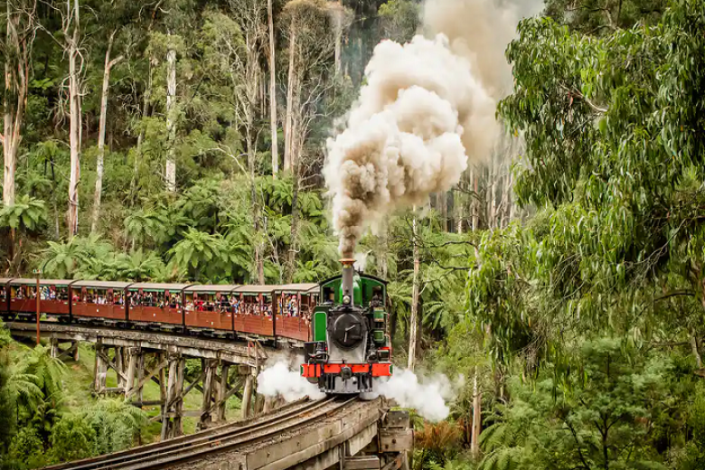 Xe lửa hơi nước: Puffing Billy
