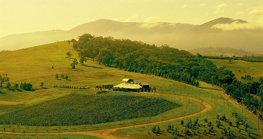 Thung lũng Yarra Valley