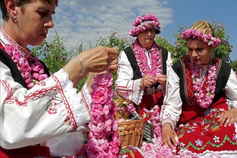 Kazalak là nơi sở hữu thung lũng hoa hồng rộng lớn nhất Bulgaria