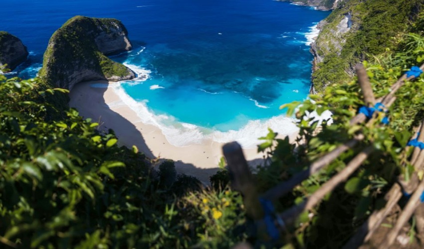 Sống Lưng Khủng Long Bali