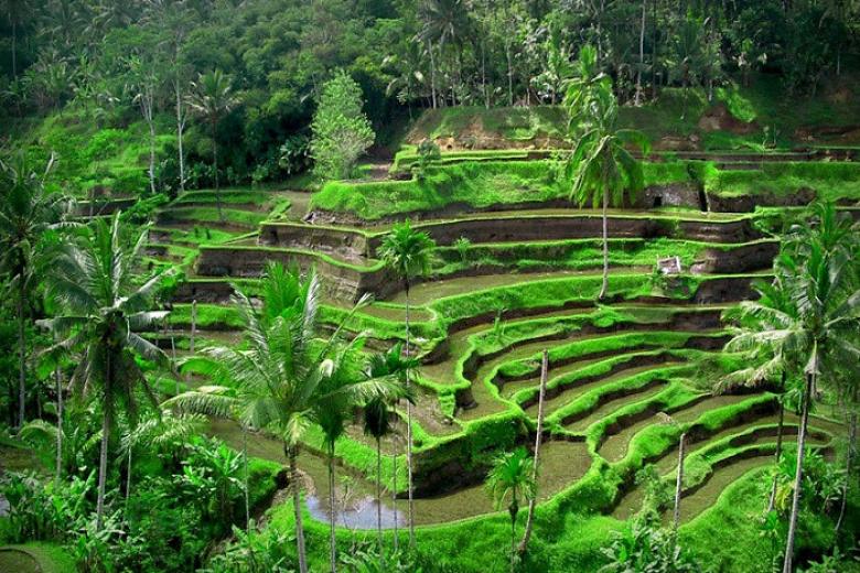Làng Ubud