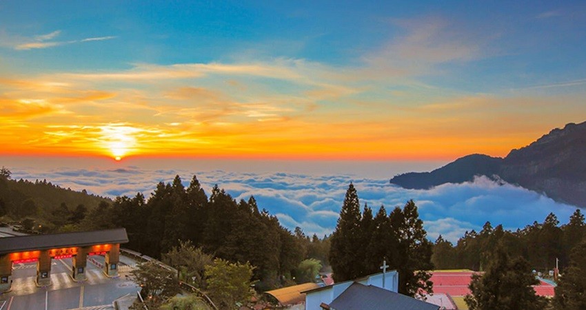 A Lý Sơn (Alishan) 