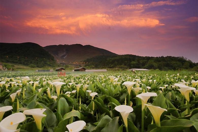 Công viên quốc gia Dương Minh Sơn