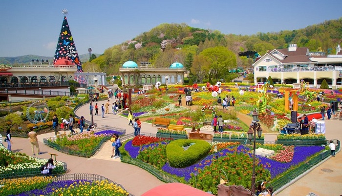 Công viên Everland Hàn Quốc