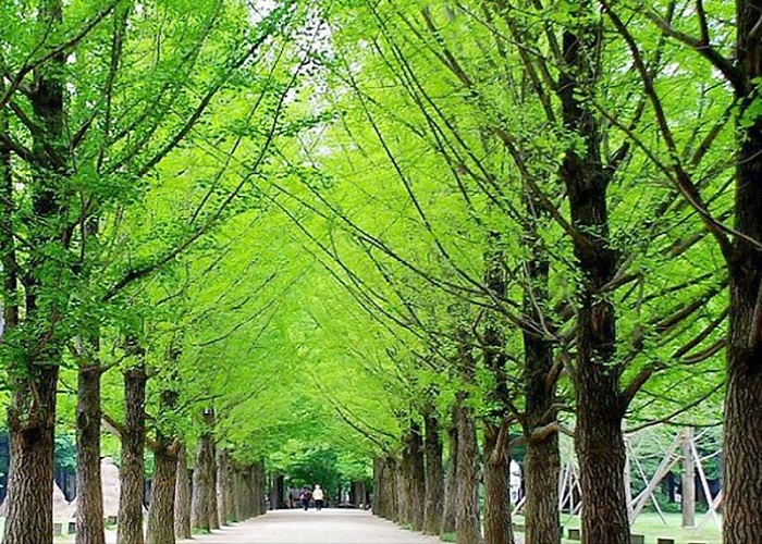 Điểm du lịch