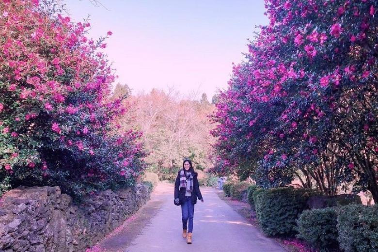Camellia Hill