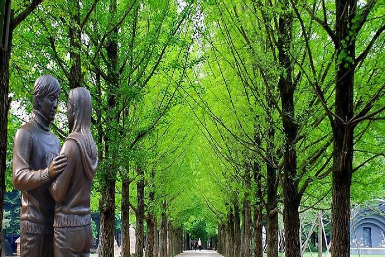 Đảo Nami (Nami Island)