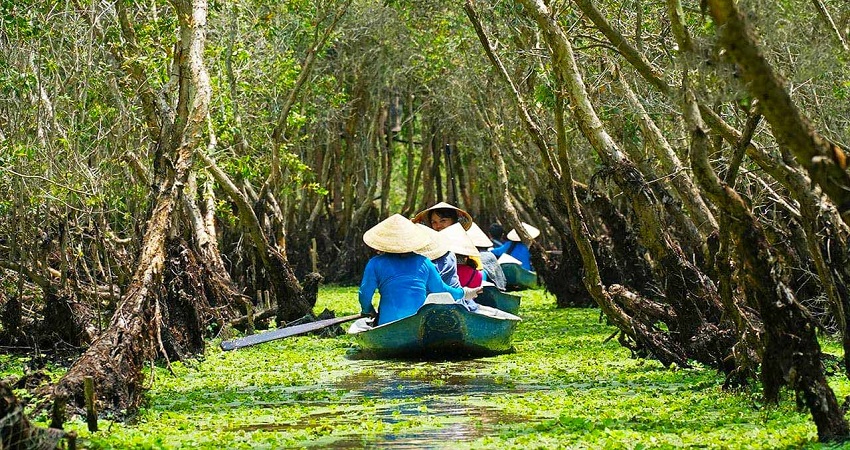 Rừng Tràm Trà Sư