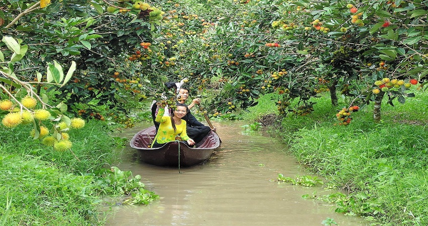 Vườn sinh thái Ba Láng