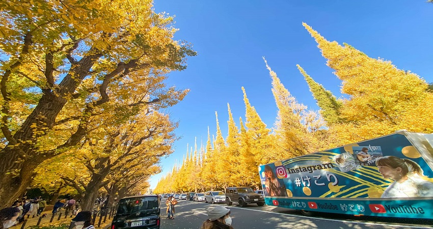 Meiji Jingu Gaien