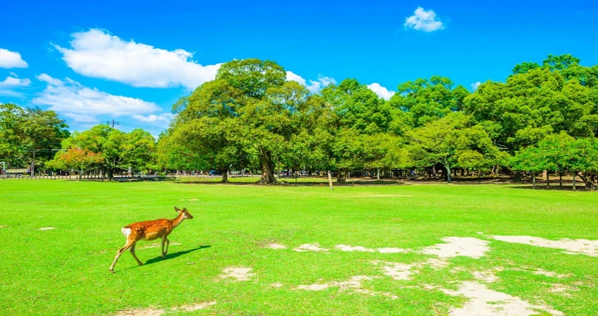 Điểm du lịch