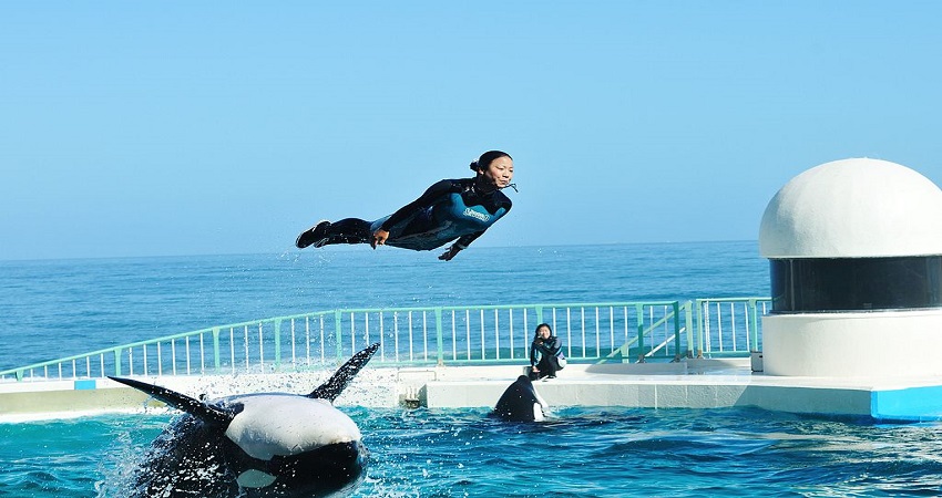 Kamogawa Sea World