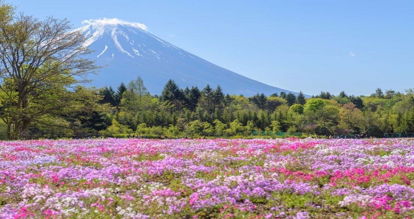 Vui chơi, tham quan