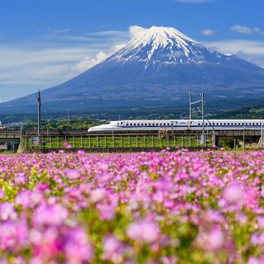HCM - Tokyo - Ashikaga - Fuji - Nagoya - Kyoto - Osaka 6N5Đ, Bay Vietjet Air + KS 3-4*, khám phá Nhật Bản lễ hội hoa tử đằng và hoa chi anh
