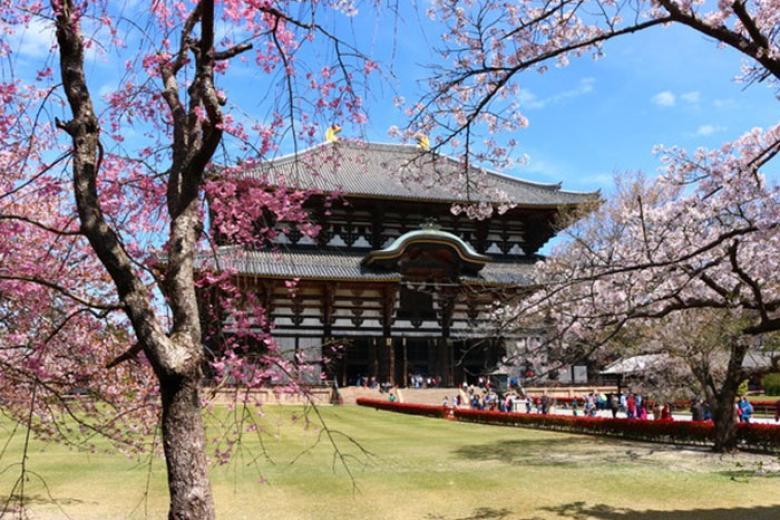 Chùa Todaiji