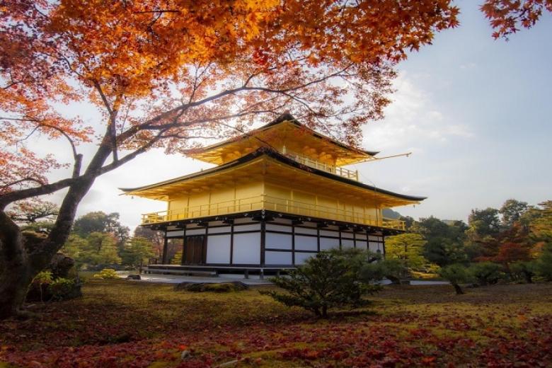 Chùa Vàng Kinkakuji